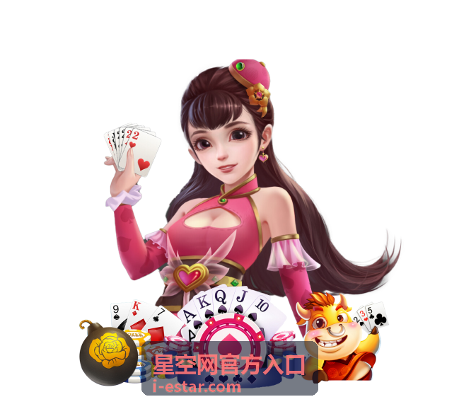 星空网官方入口平台服务解答分类
