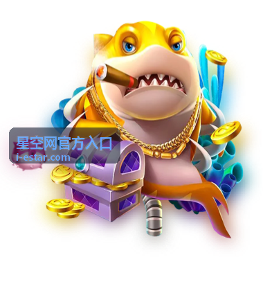 星空网官方入口安全与隐私问题解答